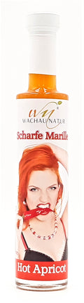 Scharfe Marille 100ml